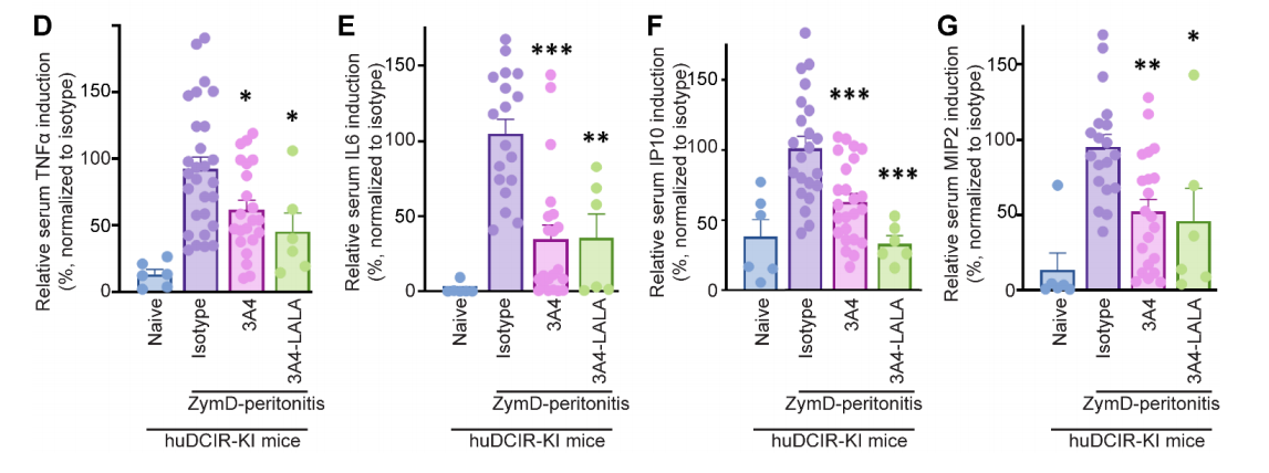 Agonistic anti-DCIR antibody inhibits ITAM-mediated inflammatory signaling and promotes immune resolution Agonistic anti-DCIR antibody inhibits ITAM-mediated inflammatory signaling and promotes immune resolution